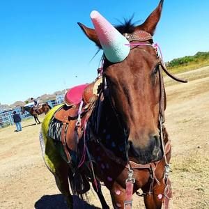 Meet your Posher, Kearstin